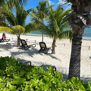  Apartment Beachfront Loft Amara