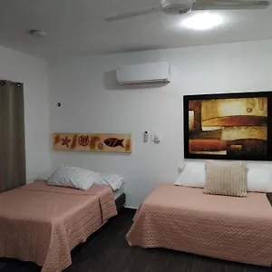  Appartement Estudio Zona Centro Cerca De La Terminal Ado